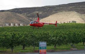 Helikopters drogen de kersen voor het Chinees Nieuwjaar