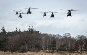 Een kwarteeuw Cougar bij de Nederlandse Luchtmacht: deel 1 - een quiz