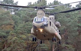 Chinooks vliegen nu van Zeeland naar Duitsland - maar wat zijn dit voor helikopters?