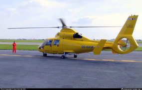 OO-NHW - Airbus Helicopters - AS365N3 Dauphin 2